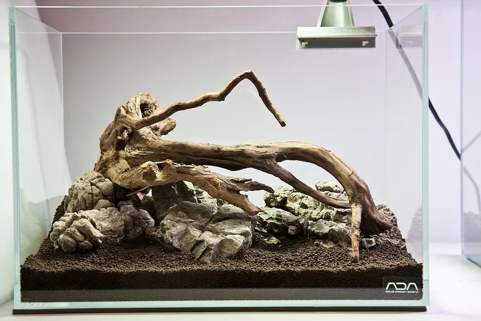 ADA Cube Mini M na zamówienie