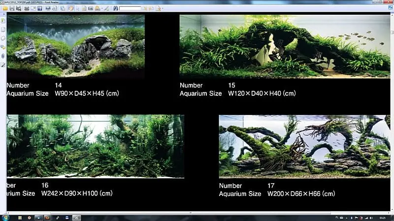 IAPLC 2012 - TOP 200