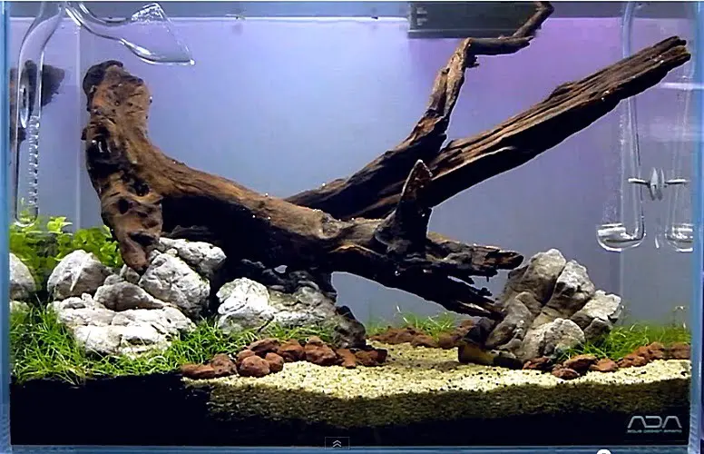 Następny ADA Cube Garden Mini M