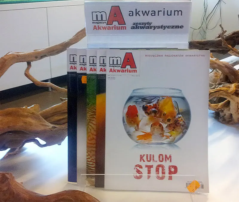 Magazyn Akwarium w ofercie