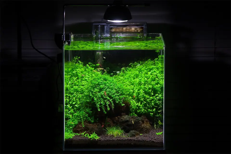 Eheim Aqualight 7W