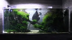 ADA 4m - Sumida Aquarium Tokyo