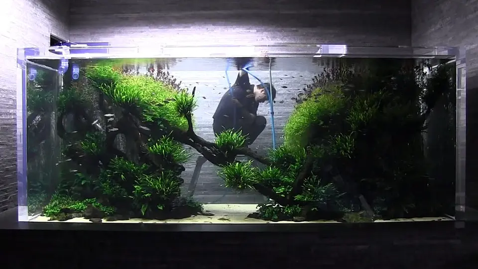 ADA 4m - Sumida Aquarium Tokyo