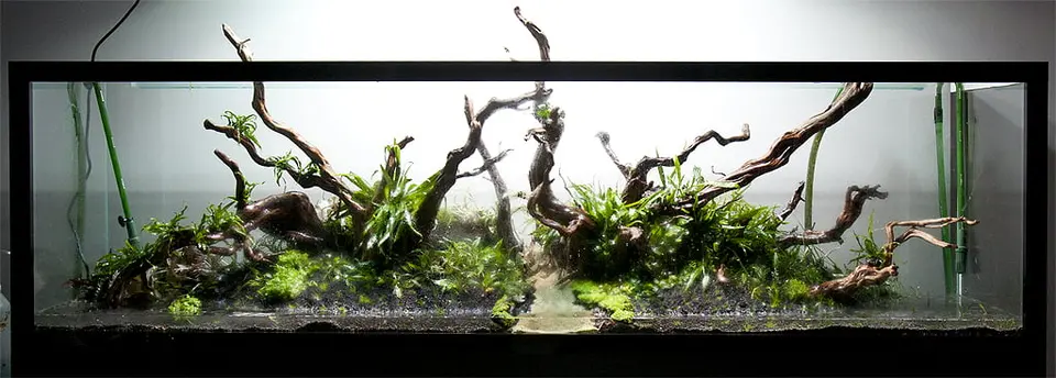 250x50x70cm - 875L