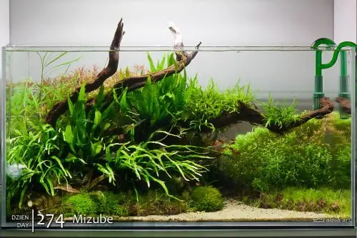 Optiwhite 90x45x45cm - Mizube
