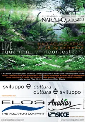 NaQ Aquascaping 2013