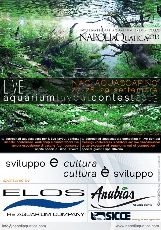 NaQ Aquascaping 2013