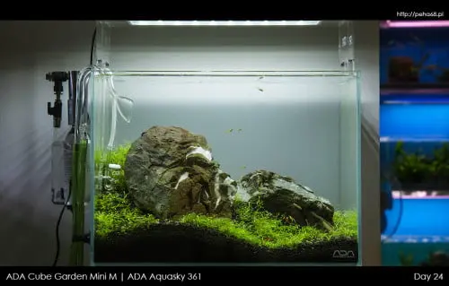 ADA Mini M | Aquasky 361