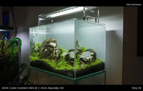 ADA Mini M | Aquasky 361