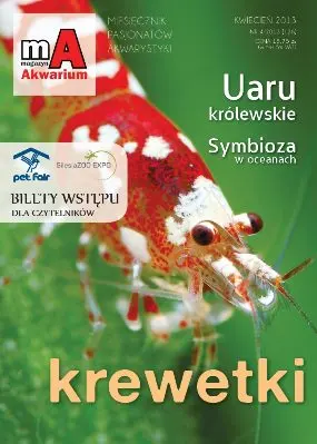 Magazyn Akwarium - Kwiecień 2013