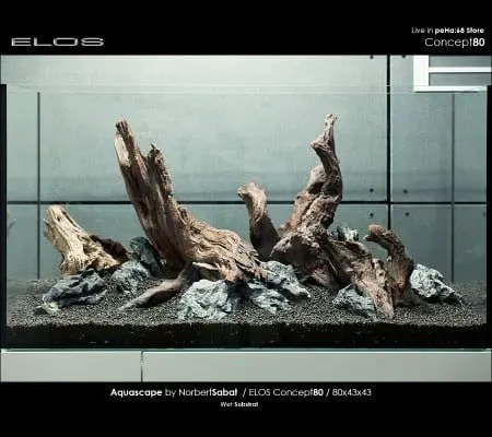 Elos Concept80 - Wet substrate