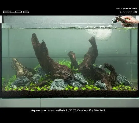Elos Concept80 - Zalewanie