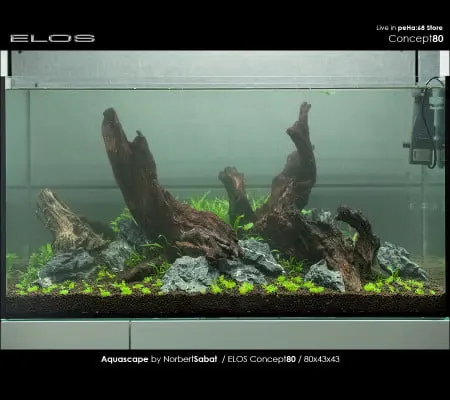Elos Concept80 - Oczyszczanie lustra wody - Eheim Skim 350