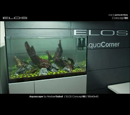 Elos Concept80