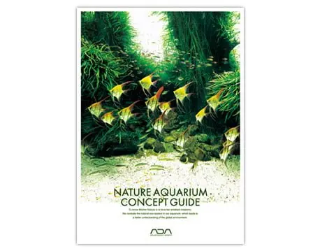 ADA Nature Aquarium Concept Guide