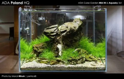 ADA Mini M & Aquasky 361
