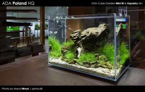 ADA Mini M & Aquasky 361