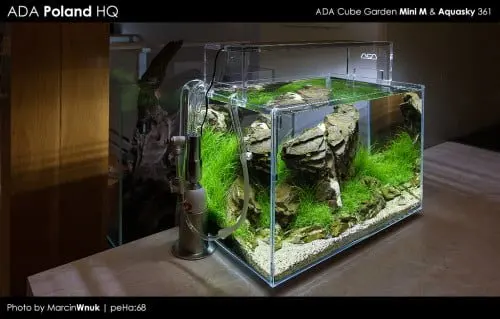 ADA Mini M & Aquasky 361