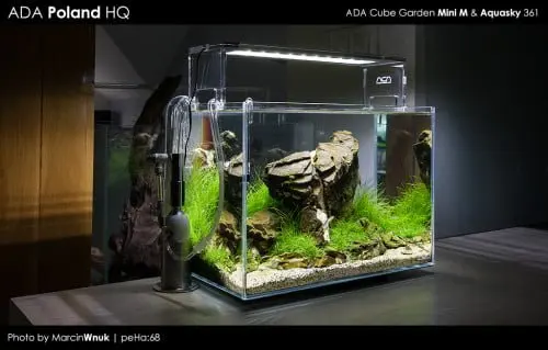 ADA Mini M & Aquasky 361