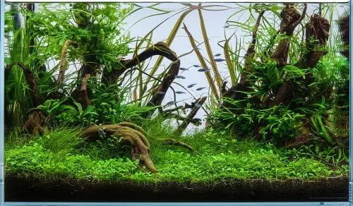 Piece of Underwater World