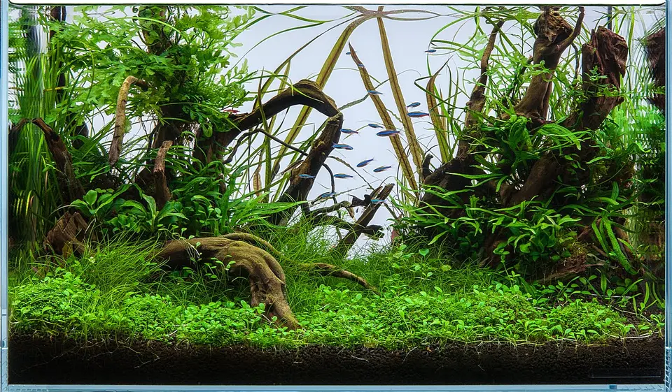 Piece of Underwater World