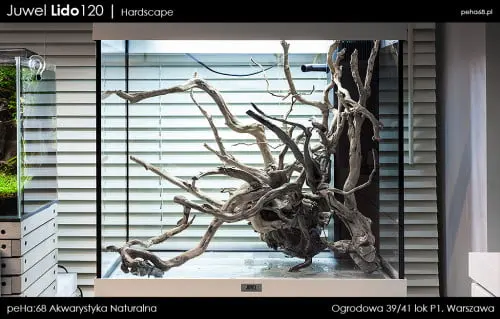 Lido 120 - Hardscape