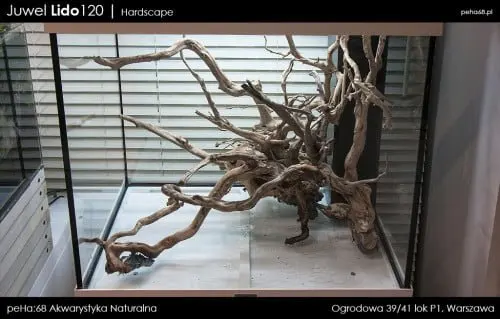 Lido 120 - Hardscape