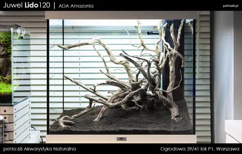 Lido 120 - ADA Amazonia