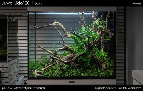Lido 120 - Day 0