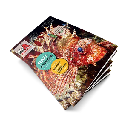 Magazyn Akwarium 10-2013