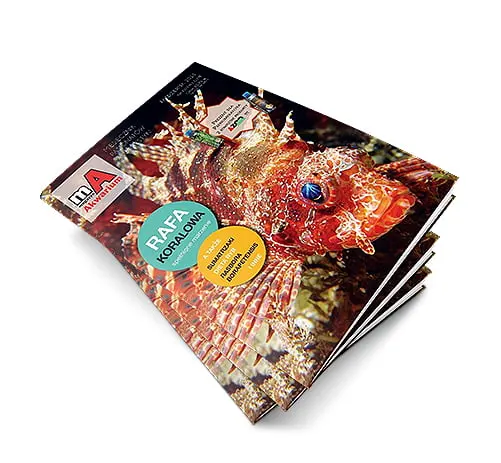 Magazyn Akwarium 10-2013