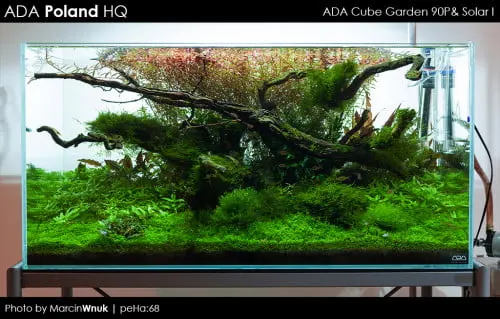 ADA Cube Garden 90P