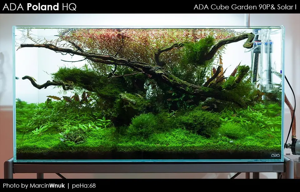 Akwaria ADA Idea Studio - Cube Garden 90P #1