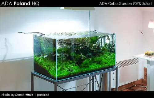 ADA Cube Garden 90P