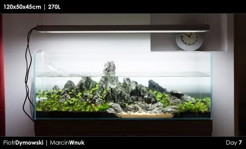 120cm - Day 7 - 03