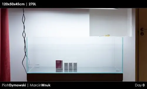 120x50x45 - Day 0 - 01