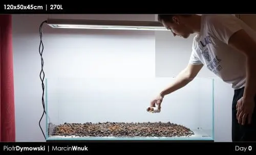 120x50x45 - Day 0 - 02