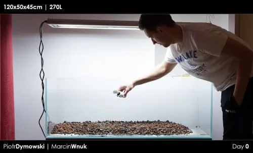 120x50x45 - Day 0 - 03