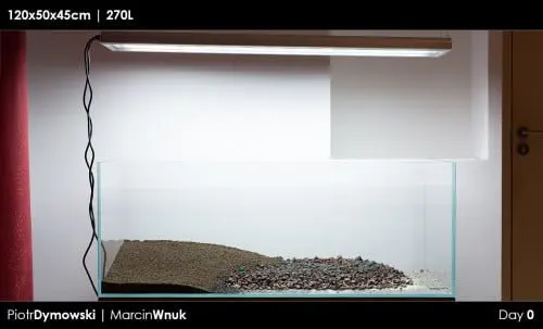 120x50x45 - Day 0 - 05