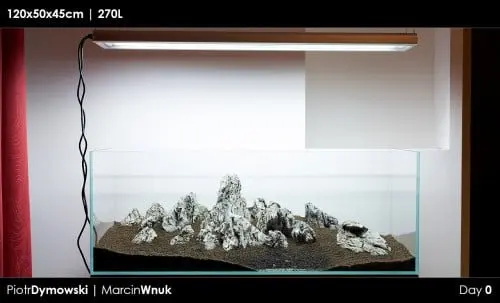 120x50x45 - Day 0 - 07