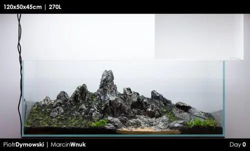 120x50x45 - Day 0 - 11