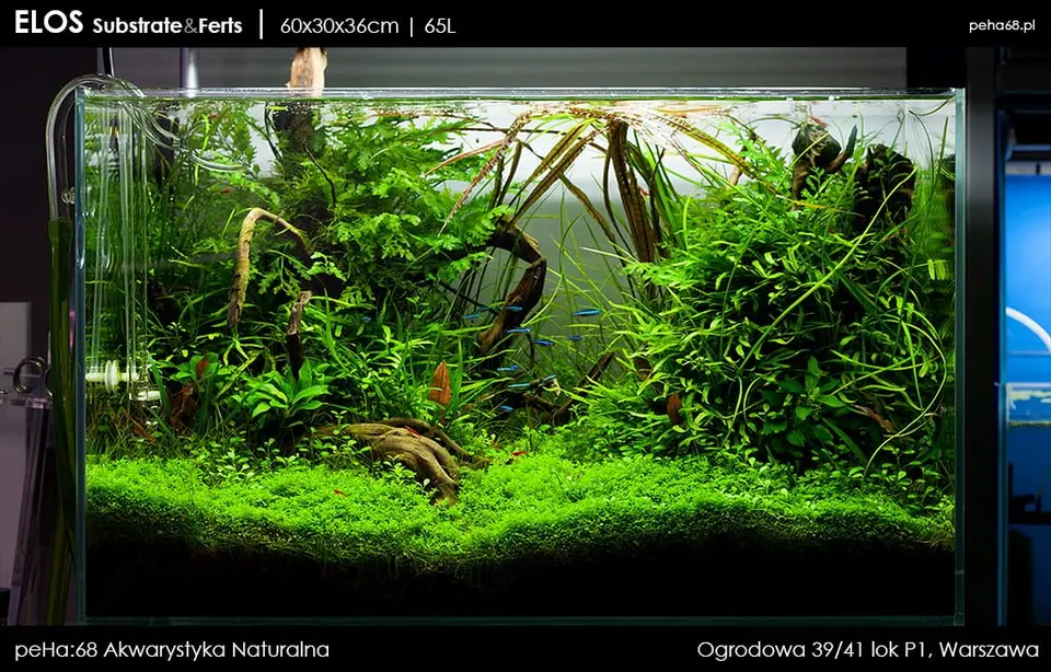 Nano Nature Aquarium
