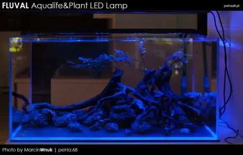 Fluval Aqualife & Plant LED
