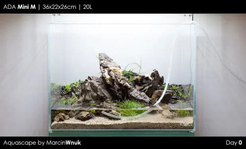 Iwagumi