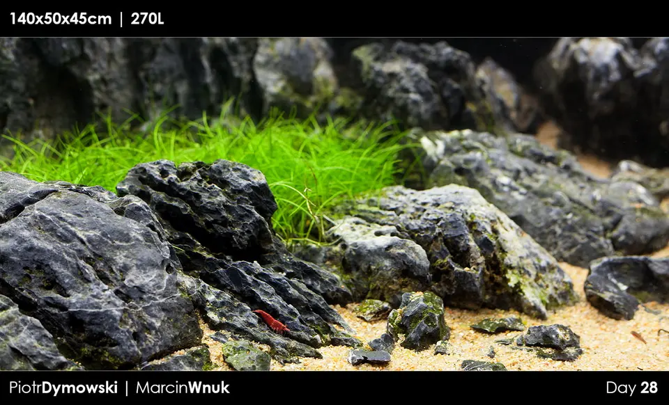 Scenery Stone