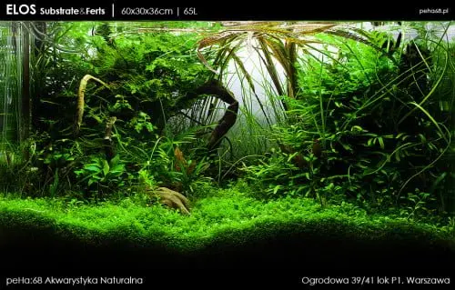 Piece of Underwater World