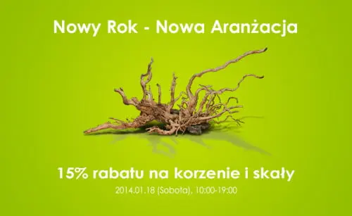promocja aranzacja