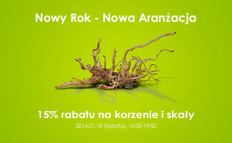 Nowy rok - Nowa aranżacja