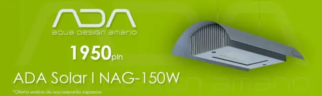 solar i 2
