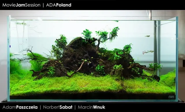 ADA Cube Garden 90P